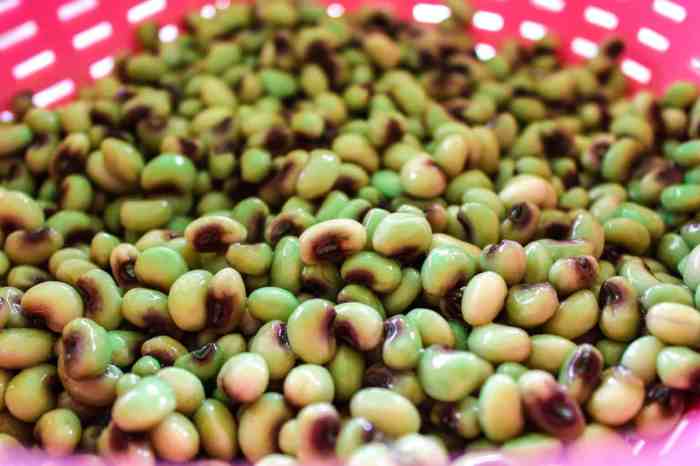 How to Cook Field Peas Southern Style A Delicious Southern Tradition